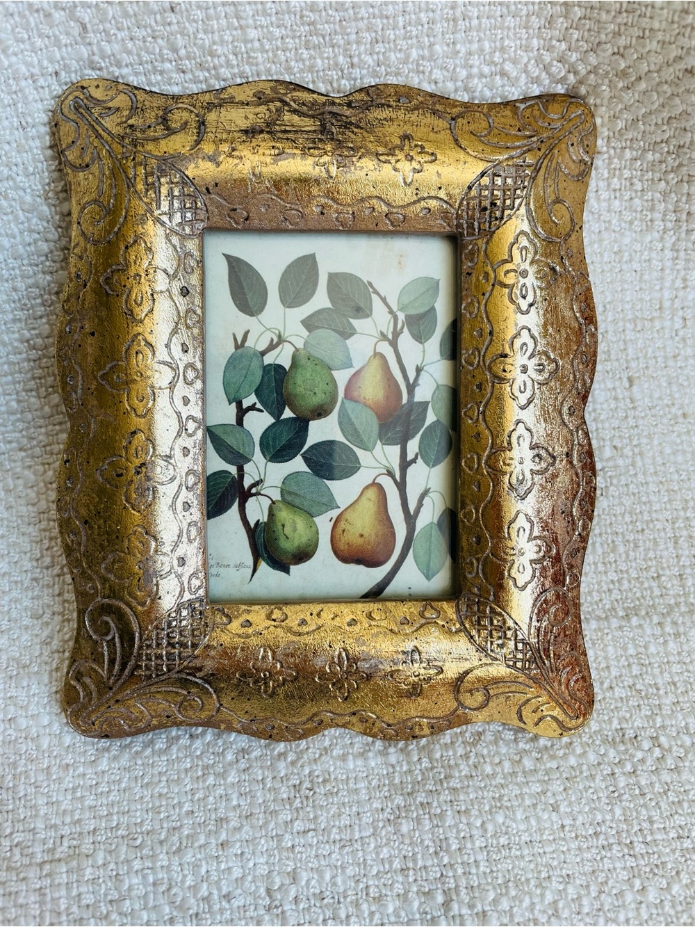 Ornate Gold Decorative Picture Frame with Botanical Pear Print Fits 2.5x3.5"